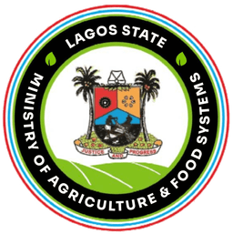Lagos Ministry